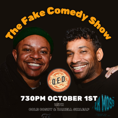 The Fake Comedy Show