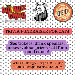 Trivia Fundraiser for Cats!